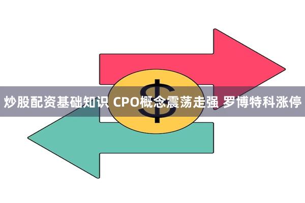 炒股配资基础知识 CPO概念震荡走强 罗博特科涨停