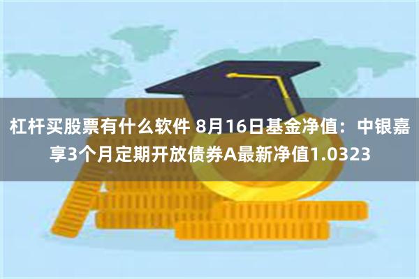 杠杆买股票有什么软件 8月16日基金净值：中银嘉享3个月定期开放债券A最新净值1.0323