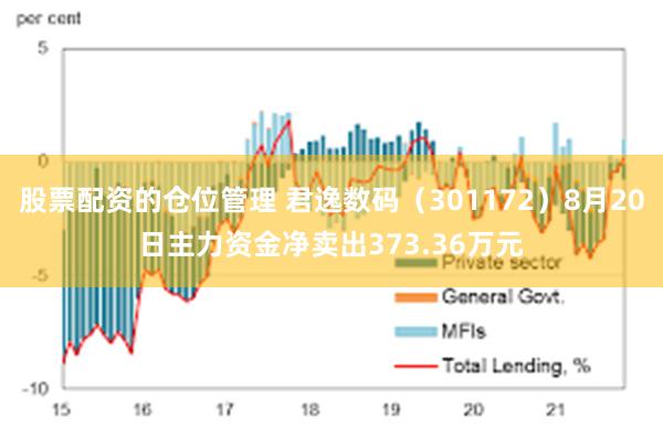 股票配资的仓位管理 君逸数码（301172）8月20日主力资金净卖出373.36万元