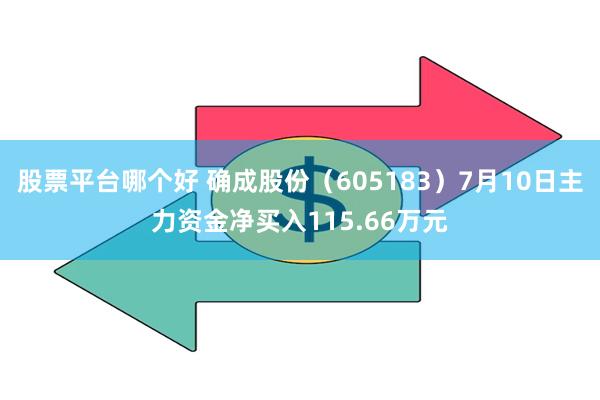 股票平台哪个好 确成股份（605183）7月10日主力资金净买入115.66万元