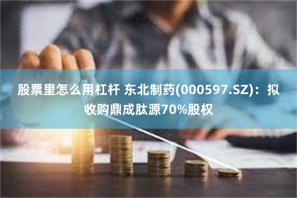 股票里怎么用杠杆 东北制药(000597.SZ)：拟收购鼎成肽源70%股权