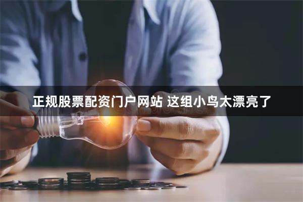 正规股票配资门户网站 这组小鸟太漂亮了