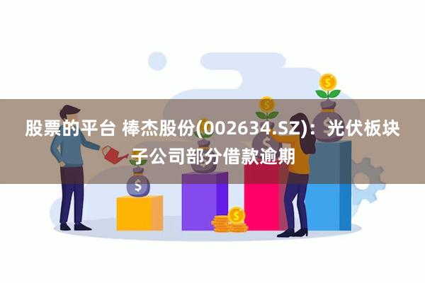 股票的平台 棒杰股份(002634.SZ)：光伏板块子公司部分借款逾期