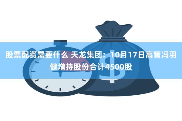 股票配资需要什么 天龙集团：10月17日高管冯羽健增持股份合计4500股