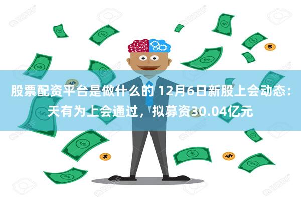 股票配资平台是做什么的 12月6日新股上会动态：天有为上会通过，拟募资30.04亿元