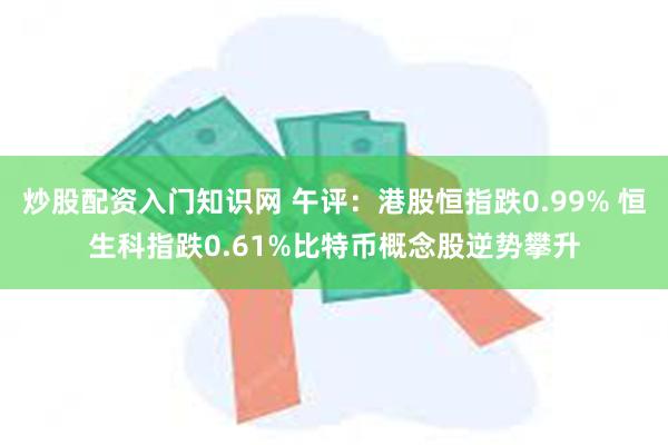 炒股配资入门知识网 午评：港股恒指跌0.99% 恒生科指跌0.61%比特币概念股逆势攀升