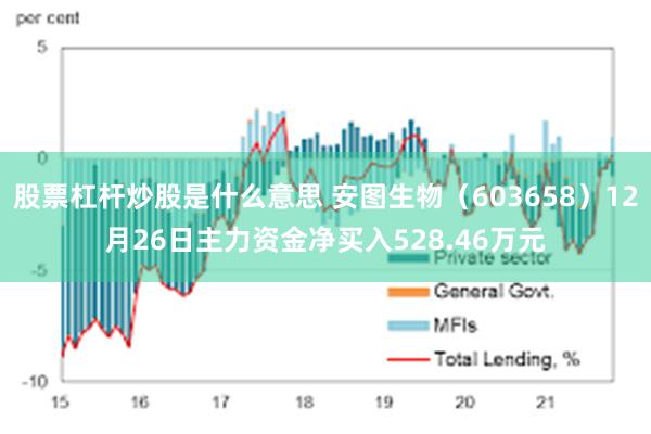 股票杠杆炒股是什么意思 安图生物（603658）12月26日主力资金净买入528.46万元