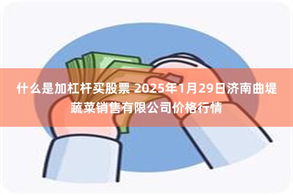 什么是加杠杆买股票 2025年1月29日济南曲堤蔬菜销售有限公司价格行情