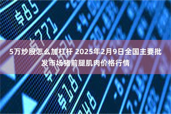 5万炒股怎么加杠杆 2025年2月9日全国主要批发市场猪前腿肌肉价格行情