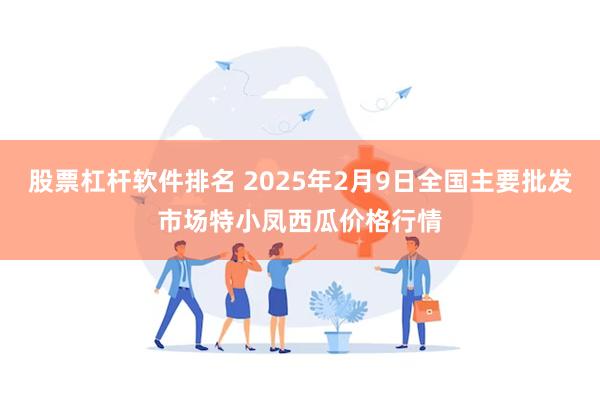 股票杠杆软件排名 2025年2月9日全国主要批发市场特小凤西瓜价格行情