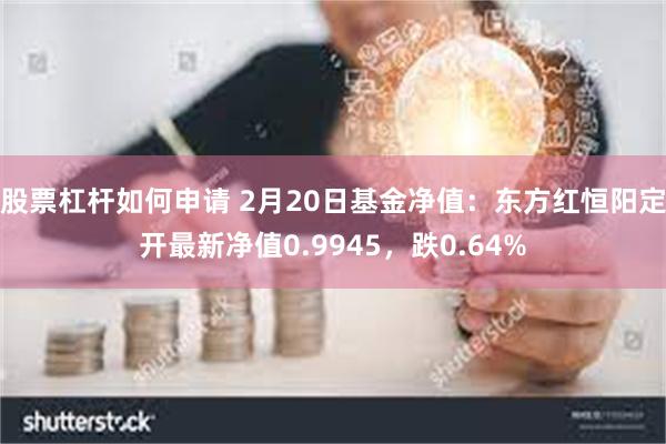 股票杠杆如何申请 2月20日基金净值：东方红恒阳定开最新净值0.9945，跌0.64%